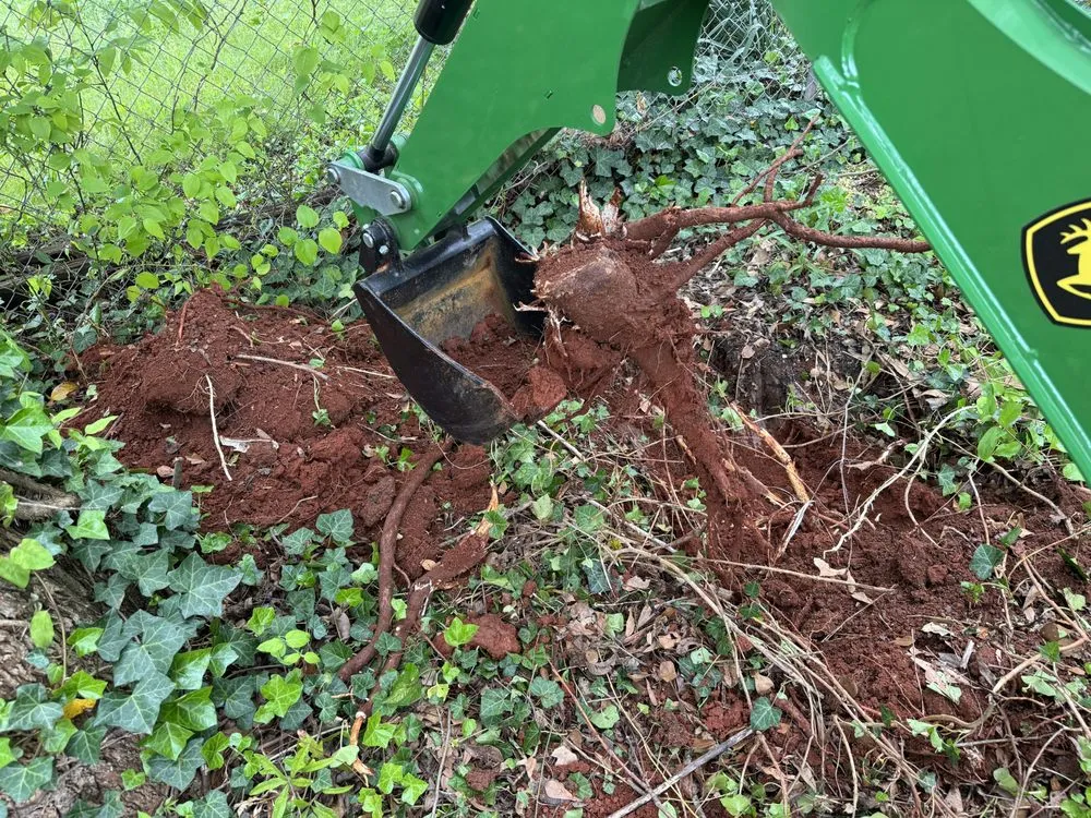 Custom yard cleanup service in Greenville, SC - Carolina Landcrafters