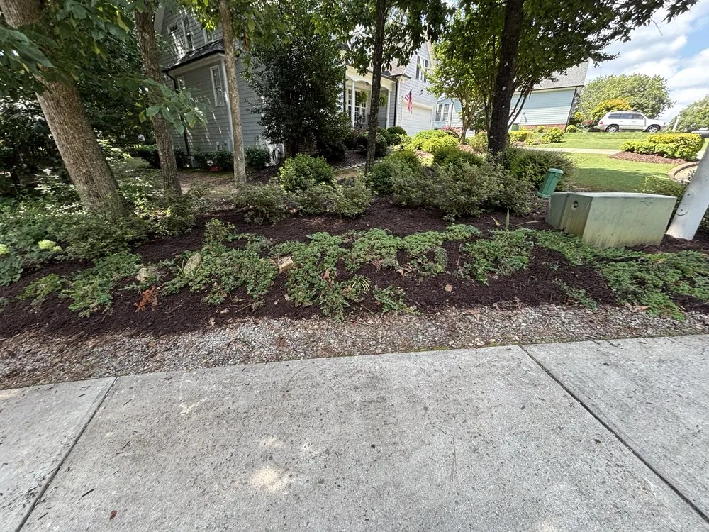 Affordable lawn care service in Ellerbe, NC by Carolina Landscape and Designs