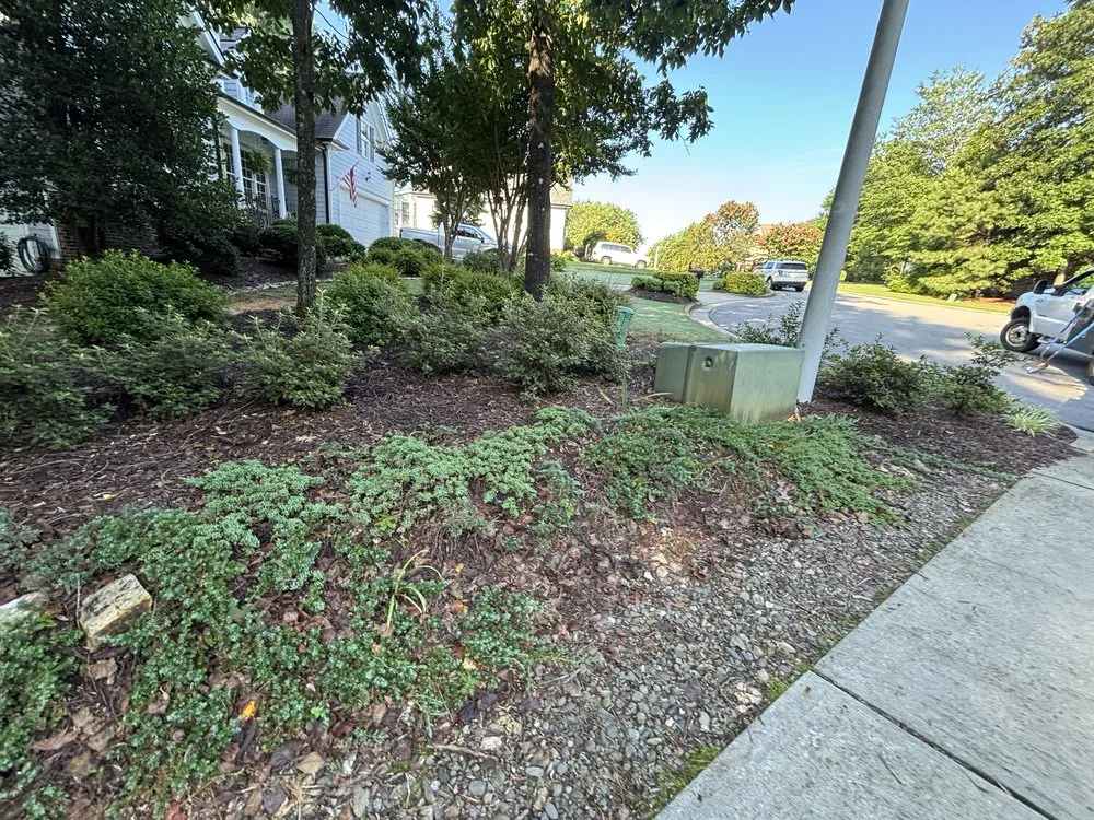 Custom residential landscaping for beautiful yards across Ellerbe, NC - Carolina Landscape and Designs