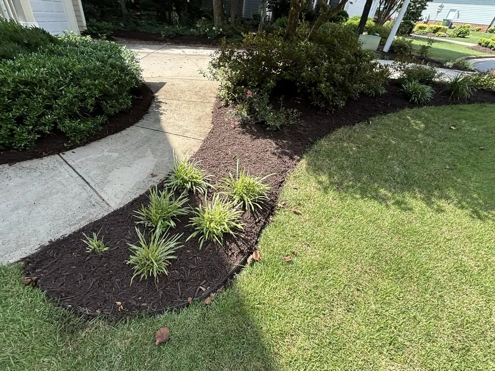 Top-rated yard cleanup service experts serving Ellerbe, NC - Carolina Landscape and Designs