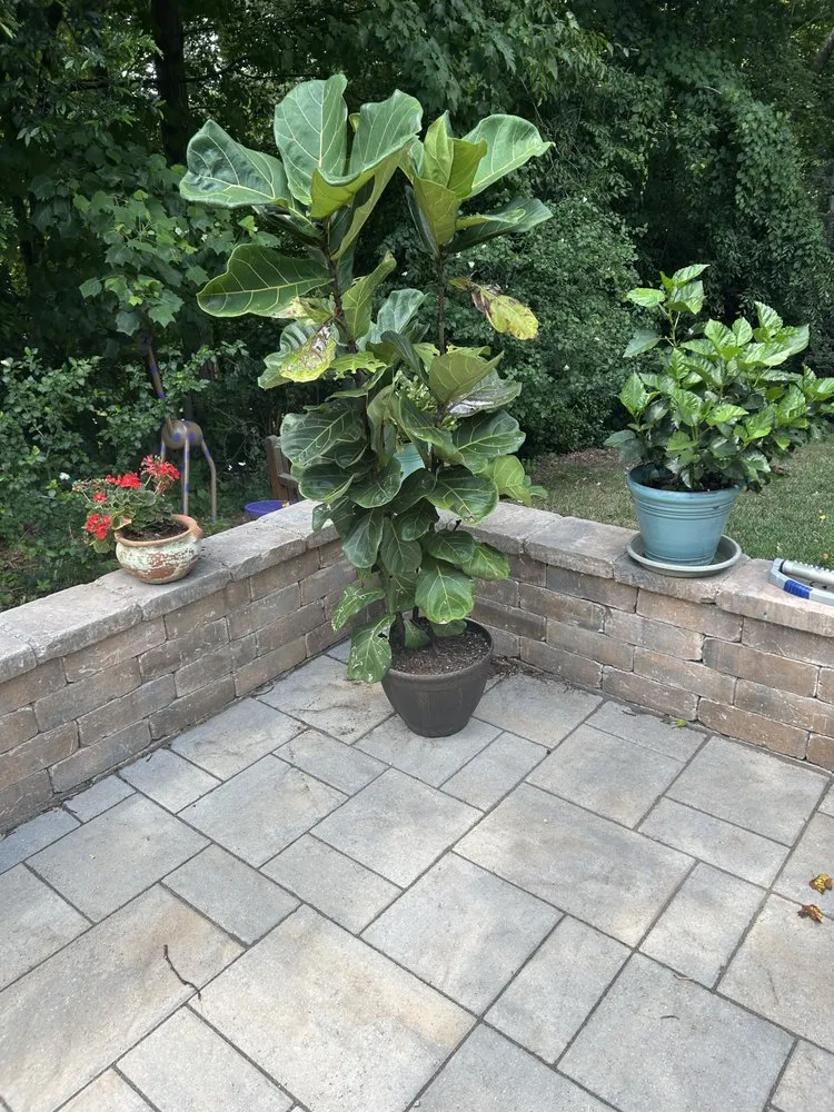 Professional outdoor landscaping in Fuquay-Varina, NC - Carolina Landscape and Stone