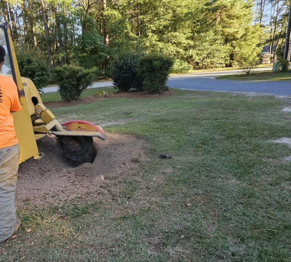 Top-rated outdoor landscaping in Lumberton, NC by Carolina Landscaping & Farming