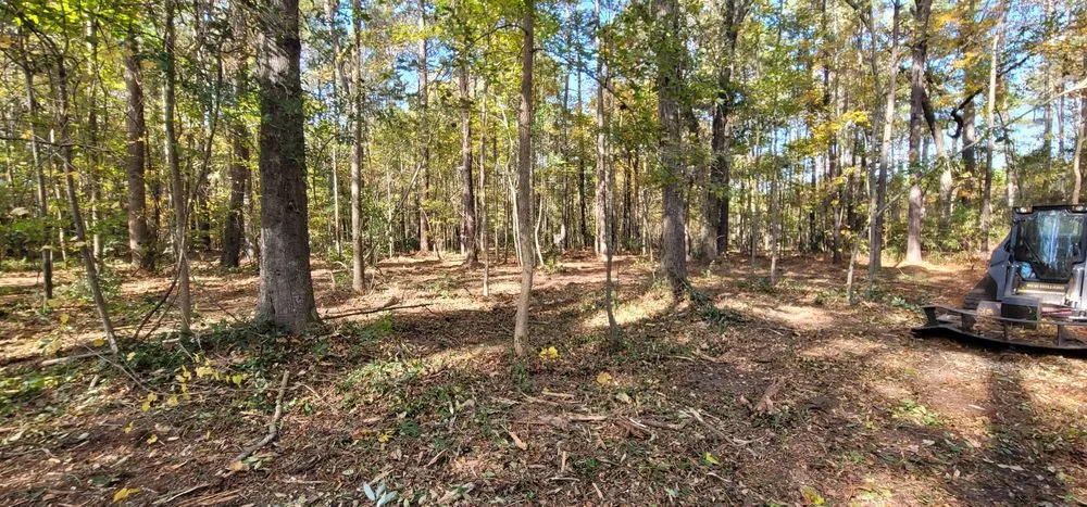 Affordable lawn mowing service in Lumberton, NC by Carolina Landscaping & Farming