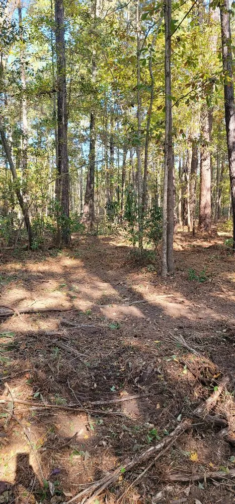 Affordable landscaping services in Lumberton, NC by Carolina Landscaping & Farming