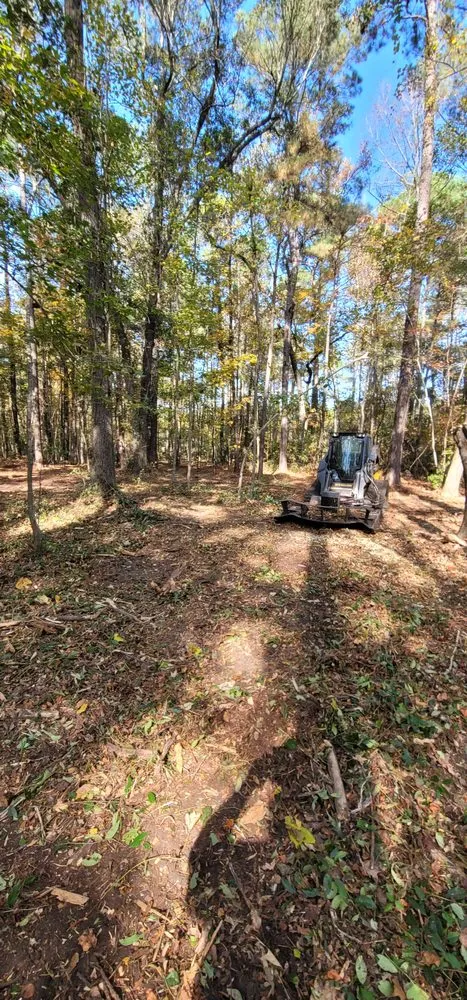 Professional lawn care service experts serving Lumberton, NC - Carolina Landscaping & Farming