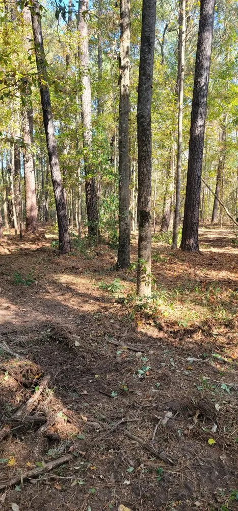 Top-rated residential landscaping for homes across Lumberton, NC - Carolina Landscaping & Farming