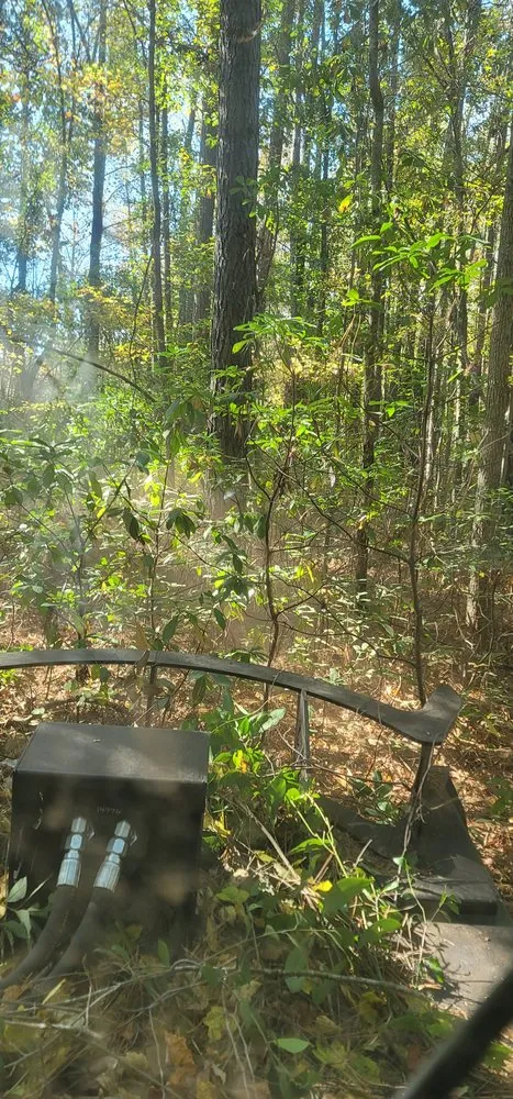 Local yard cleanup service with custom design across Lumberton, NC - Carolina Landscaping & Farming