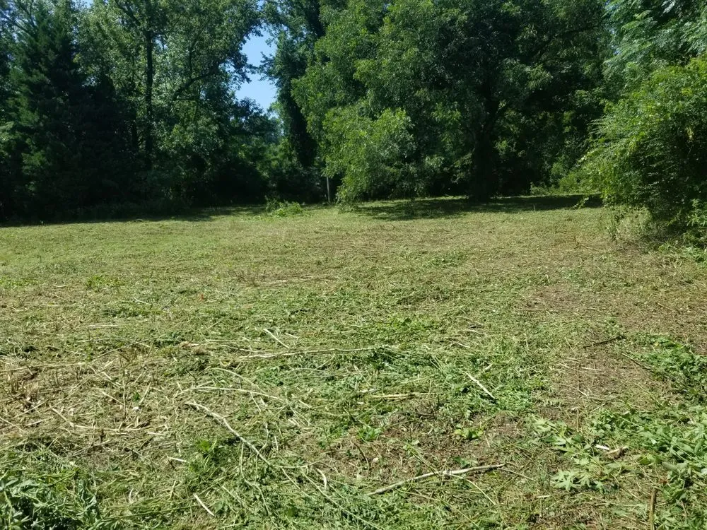 Expert lawn care service experts serving Lumberton, NC - Carolina Landscaping & Farming