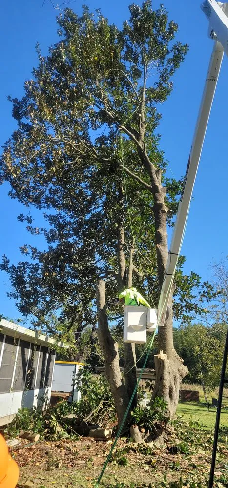 Expert landscape installation for residential properties across Lumberton, NC - Carolina Landscaping & Farming