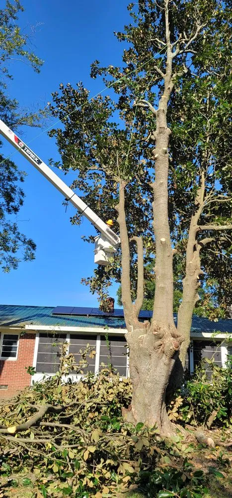 Trusted yard maintenance near you across Lumberton, NC - Carolina Landscaping & Farming