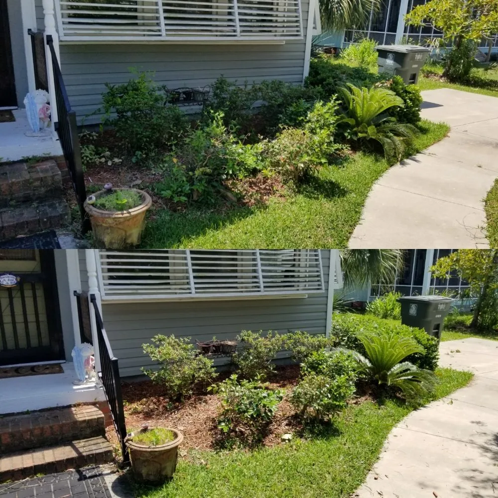 Expert landscape design in North Myrtle Beach, SC - carolina landscaping and clean up