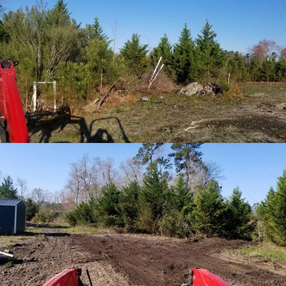 Trusted residential landscaping experts serving North Myrtle Beach, SC - carolina landscaping and clean up