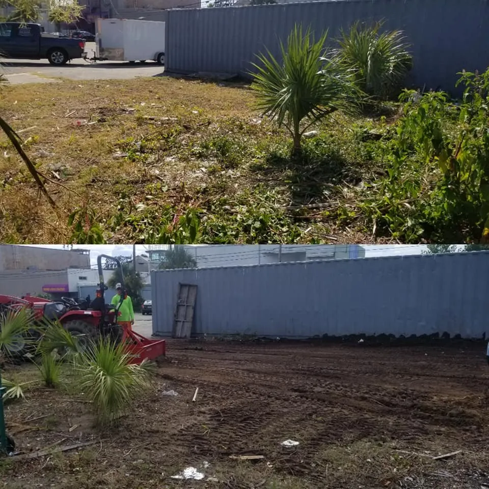 Professional lawn care service for residential properties in North Myrtle Beach, SC by carolina landscaping and clean up