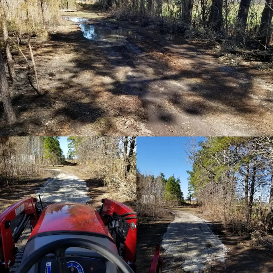 Affordable garden landscaping in North Myrtle Beach, SC - carolina landscaping and clean up