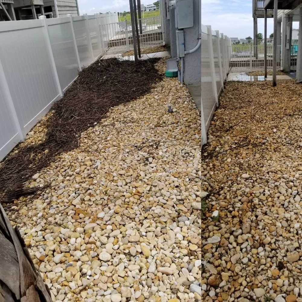 Top-rated outdoor landscaping in North Myrtle Beach, SC - carolina landscaping and clean up