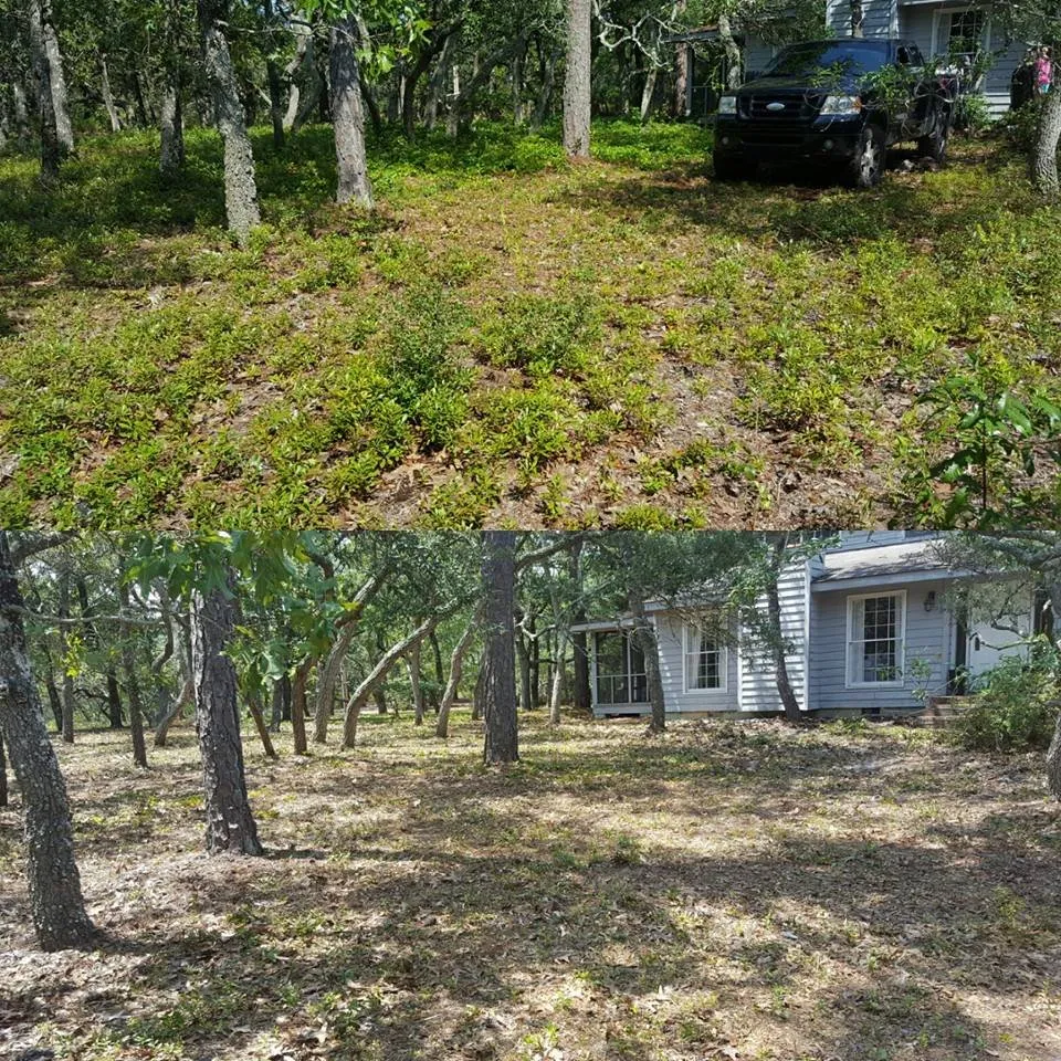 Trusted residential landscaping for year-round maintenance in North Myrtle Beach, SC by carolina landscaping and clean up