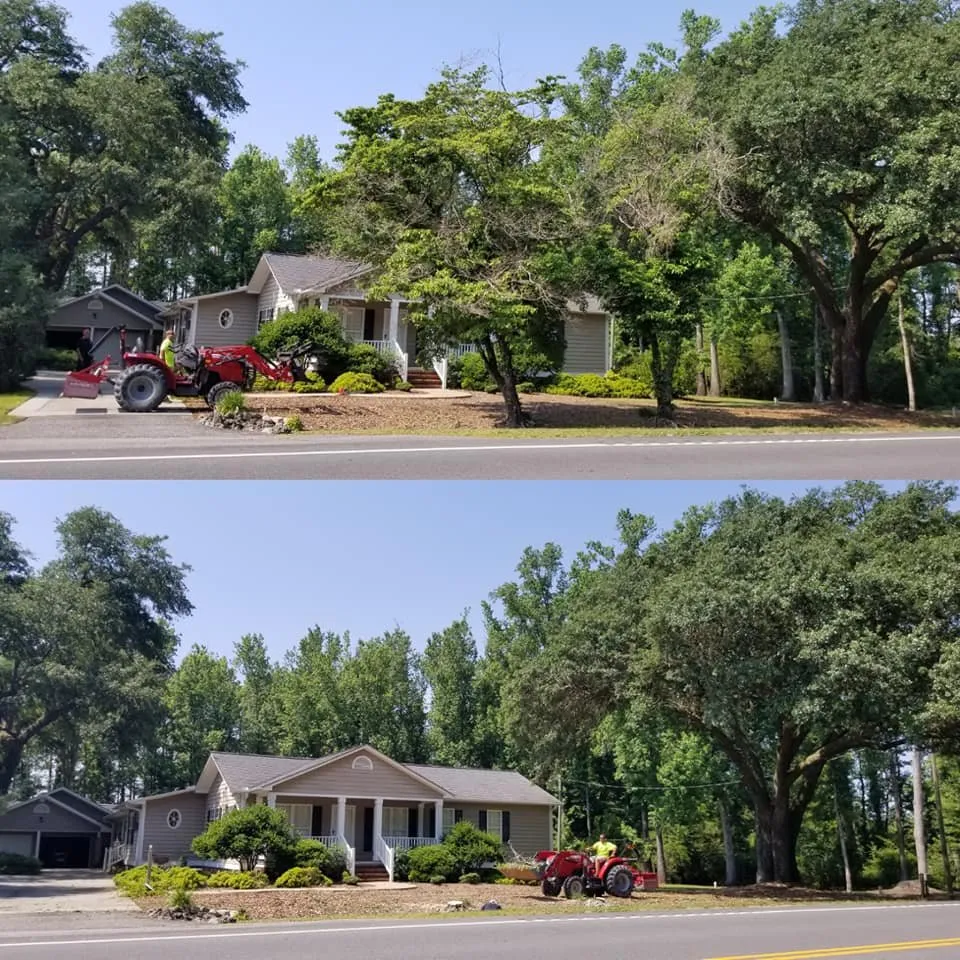 Reliable lawn care service in North Myrtle Beach, SC - carolina landscaping and clean up
