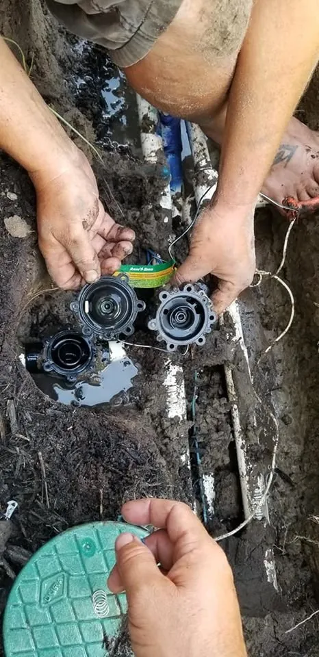 Professional yard maintenance for outdoor upgrades in North Myrtle Beach, SC by carolina landscaping and clean up