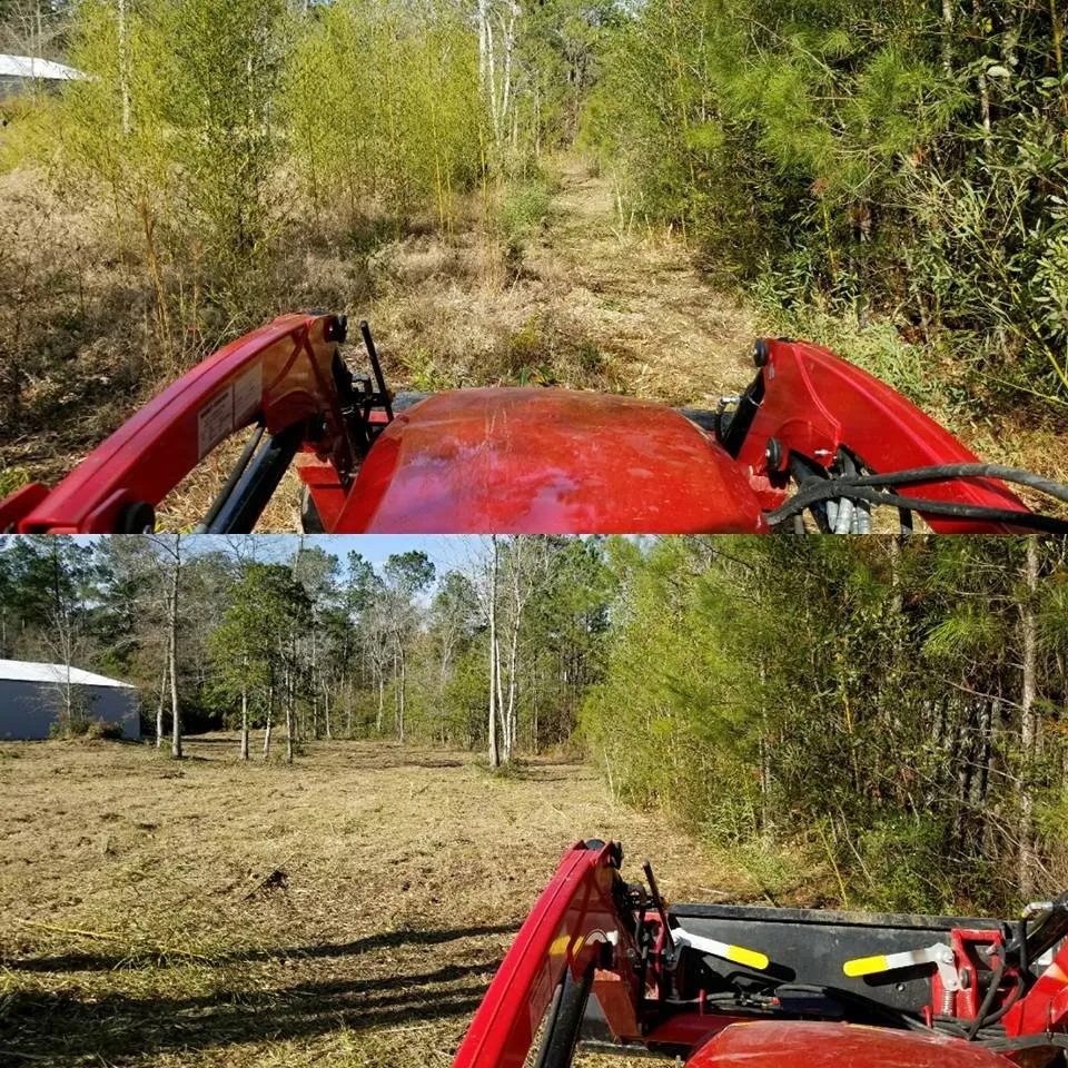 Expert outdoor landscaping in North Myrtle Beach, SC by carolina landscaping and clean up