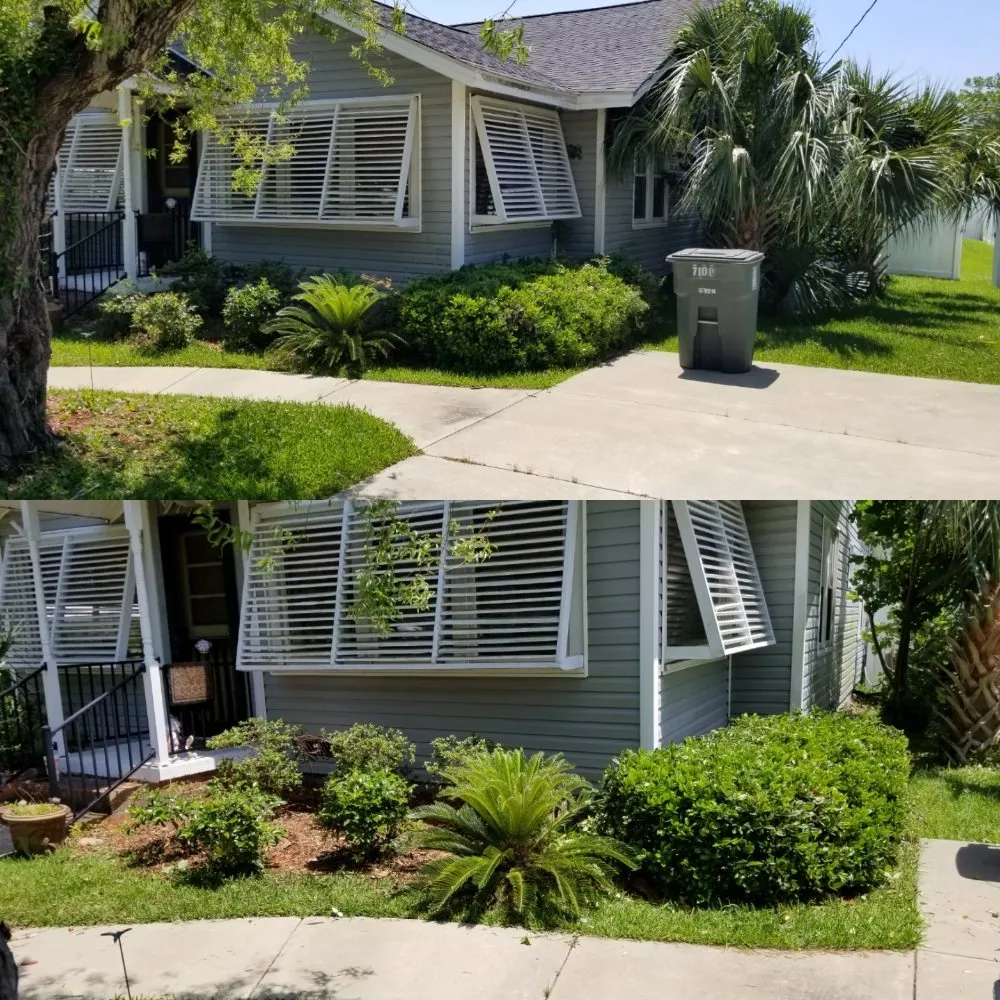 Professional landscaping services in North Myrtle Beach, SC - carolina landscaping and clean up