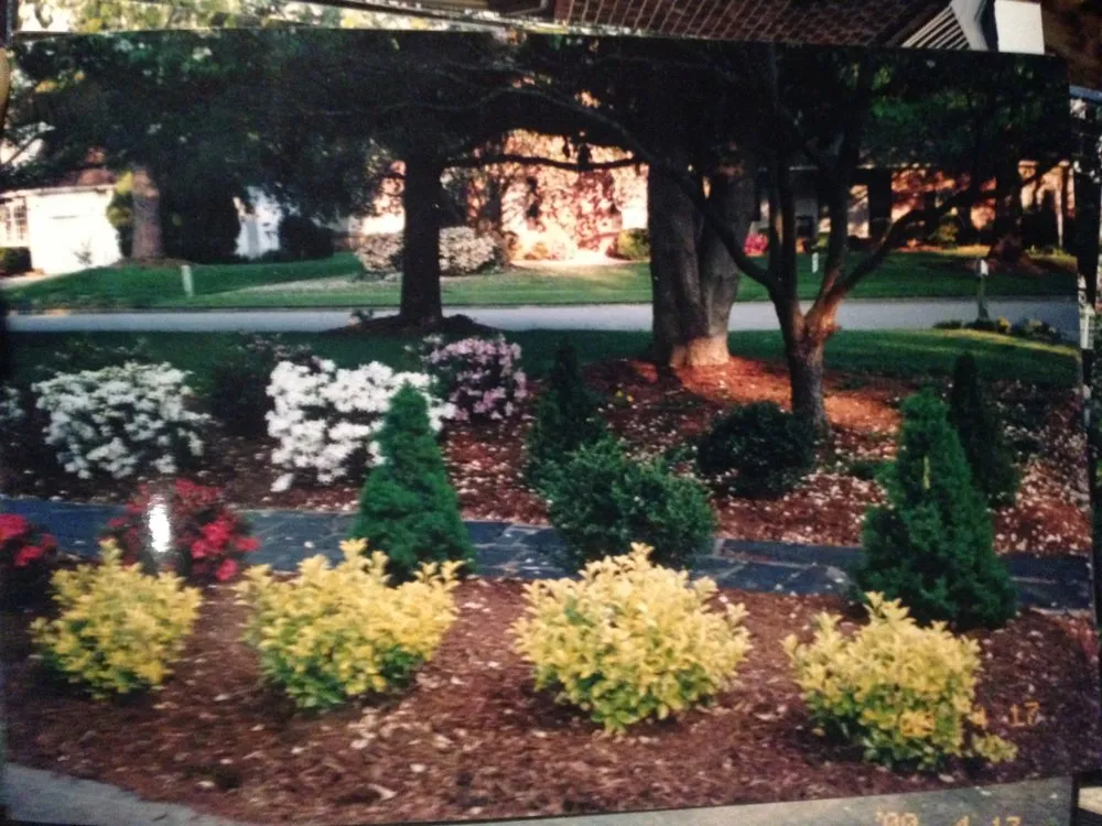 Trusted outdoor landscaping with custom design across Virginia Beach, VA - Carolina Landscaping