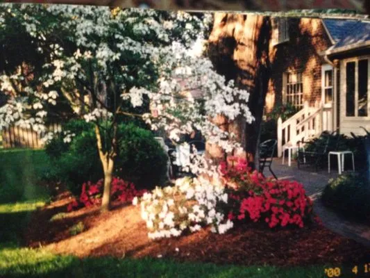 Carolina Landscaping Logo