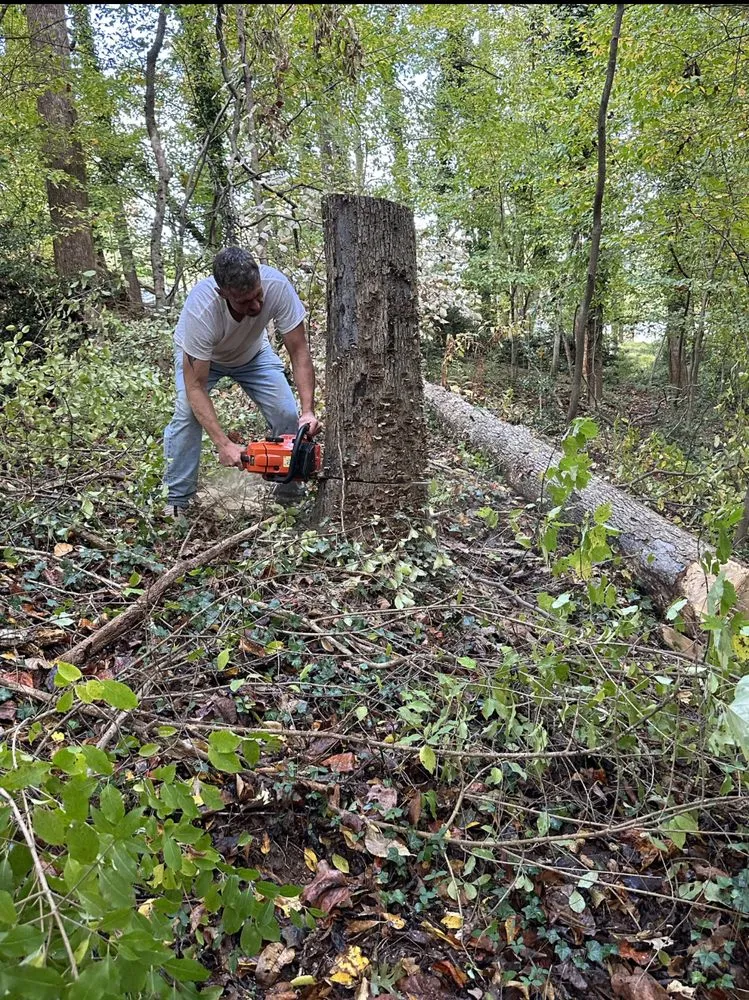 Expert garden landscaping in Troy, NC by Carolina Lawn & Tree