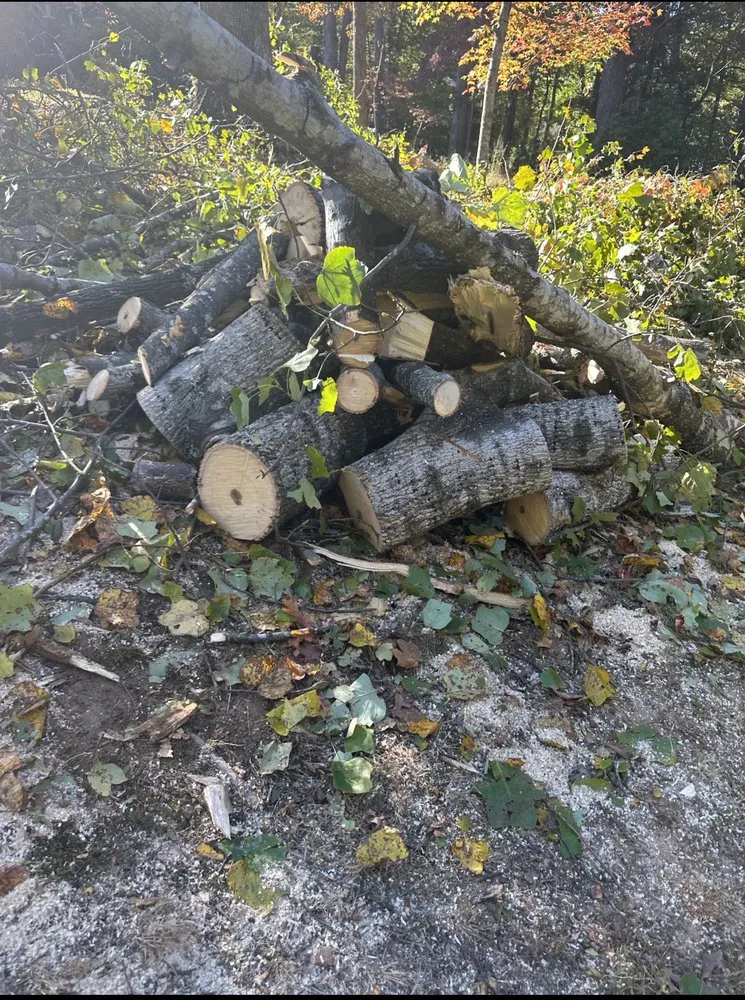 Professional landscape design in Troy, NC - Carolina Lawn & Tree