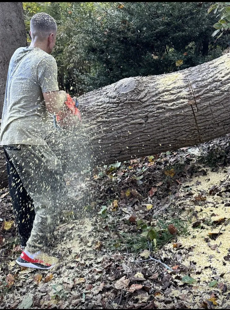 Local lawn care service for beautiful yards in Troy, NC by Carolina Lawn & Tree