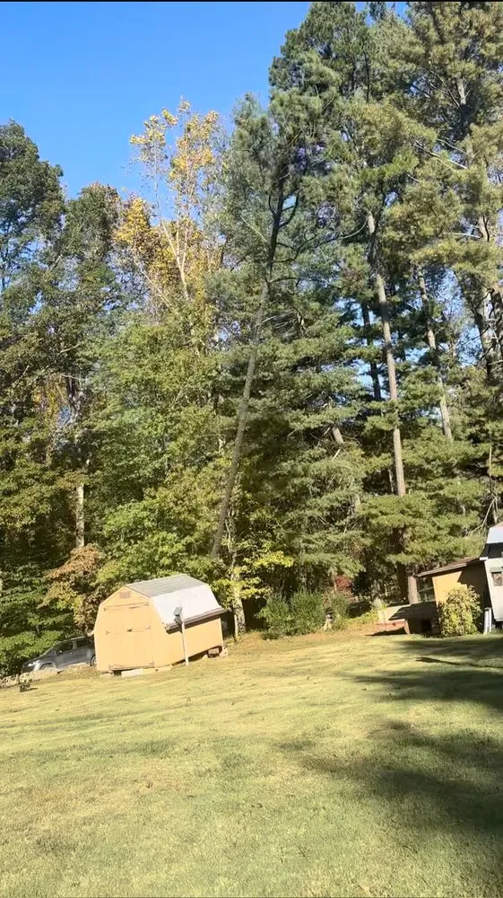 Local outdoor landscaping experts serving Troy, NC - Carolina Lawn & Tree