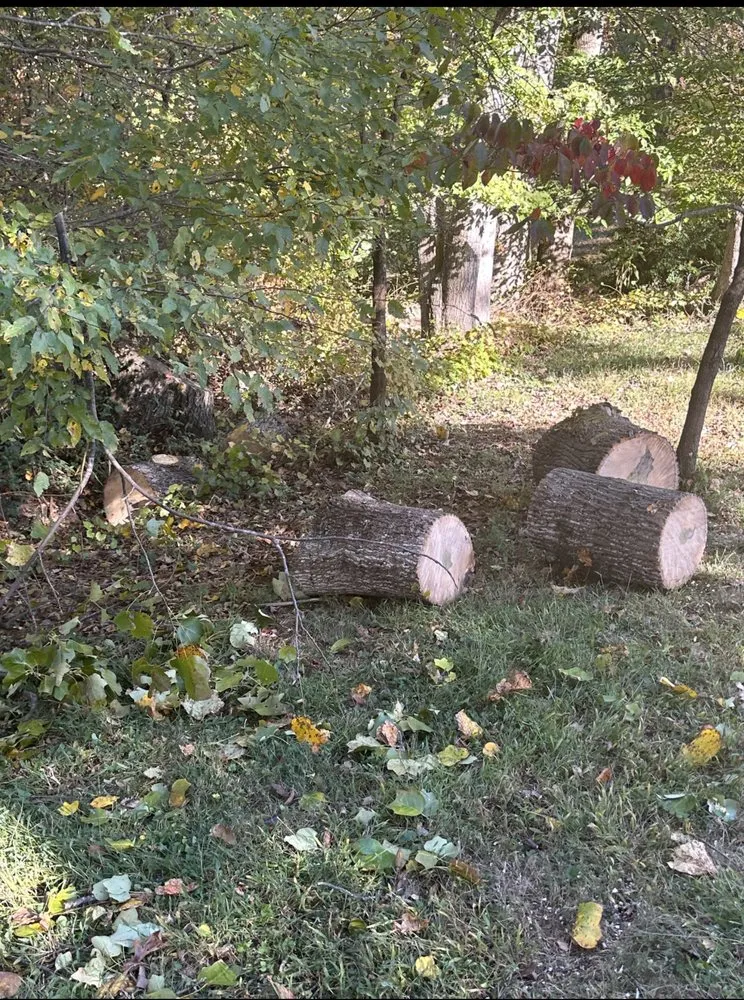 Local lawn mowing service for beautiful yards in Troy, NC by Carolina Lawn & Tree