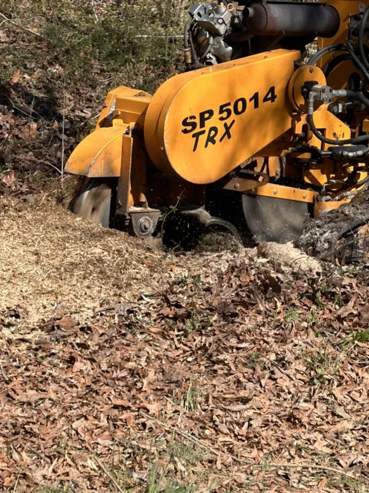 Top-rated yard cleanup service with custom design in Troy, NC by Carolina Lawn & Tree