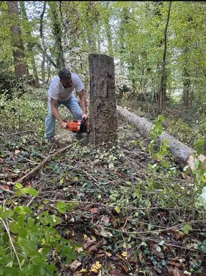 Carolina Lawn & Tree