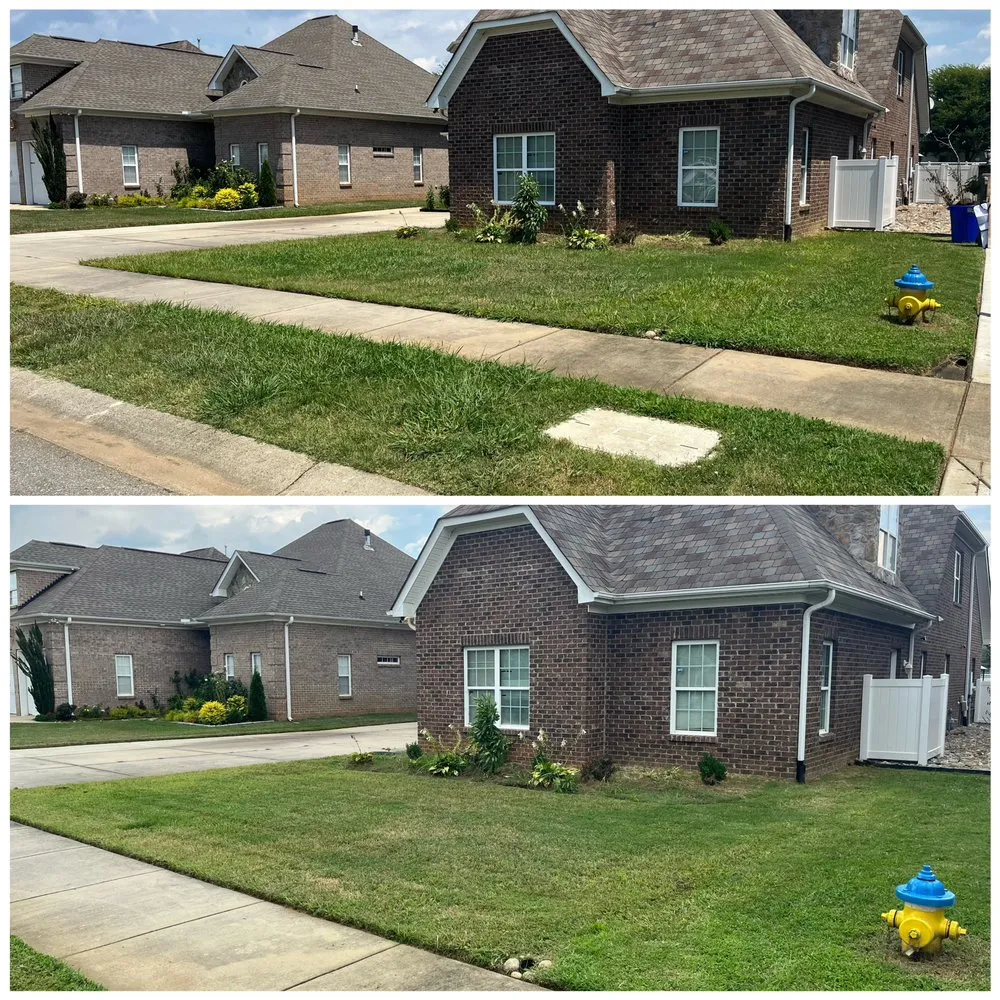 Expert outdoor landscaping in Concord, NC by Carolina Lawn Enhancement
