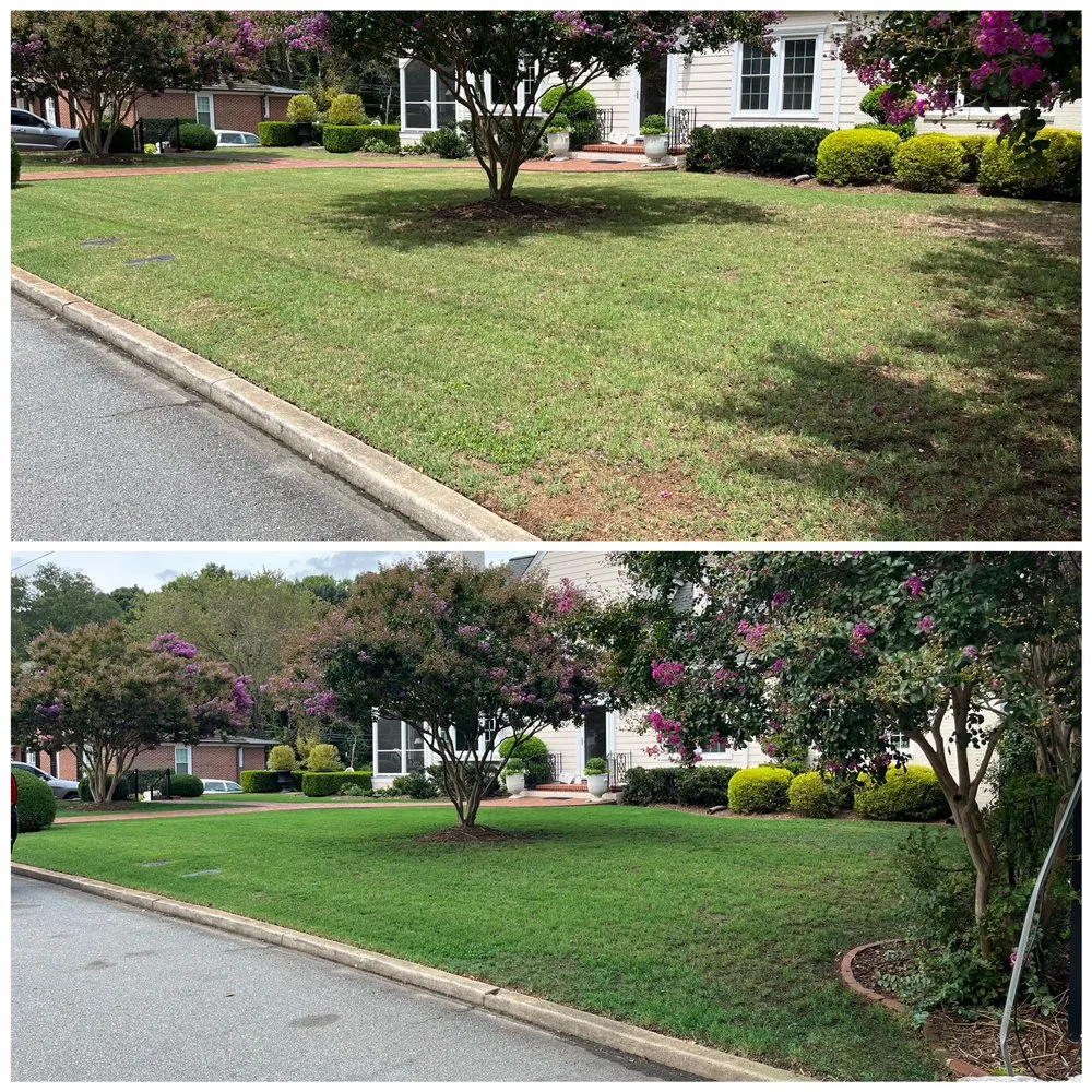 Local yard cleanup service experts serving Concord, NC - Carolina Lawn Enhancement
