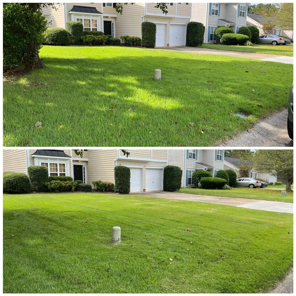 Top-rated landscape design experts serving Concord, NC - Carolina Lawn Enhancement