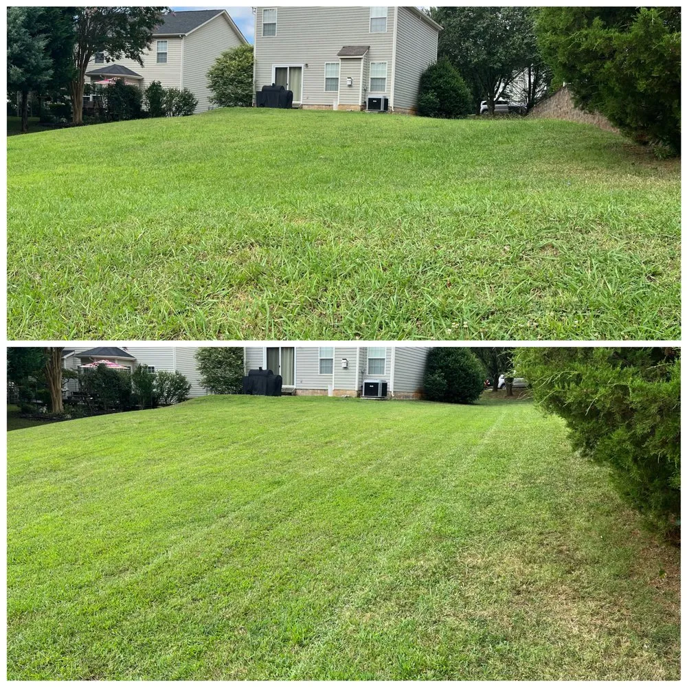 Expert yard cleanup service in Concord, NC by Carolina Lawn Enhancement