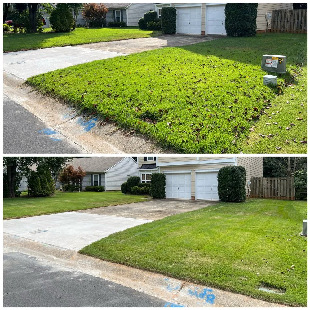 Expert yard cleanup service experts serving Concord, NC - Carolina Lawn Enhancement