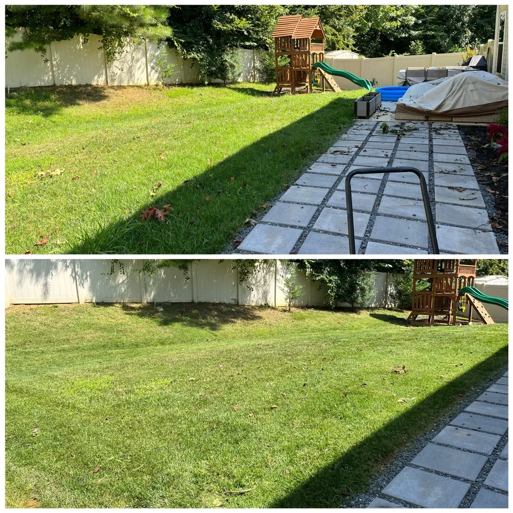 Trusted lawn care service in Concord, NC by Carolina Lawn Enhancement