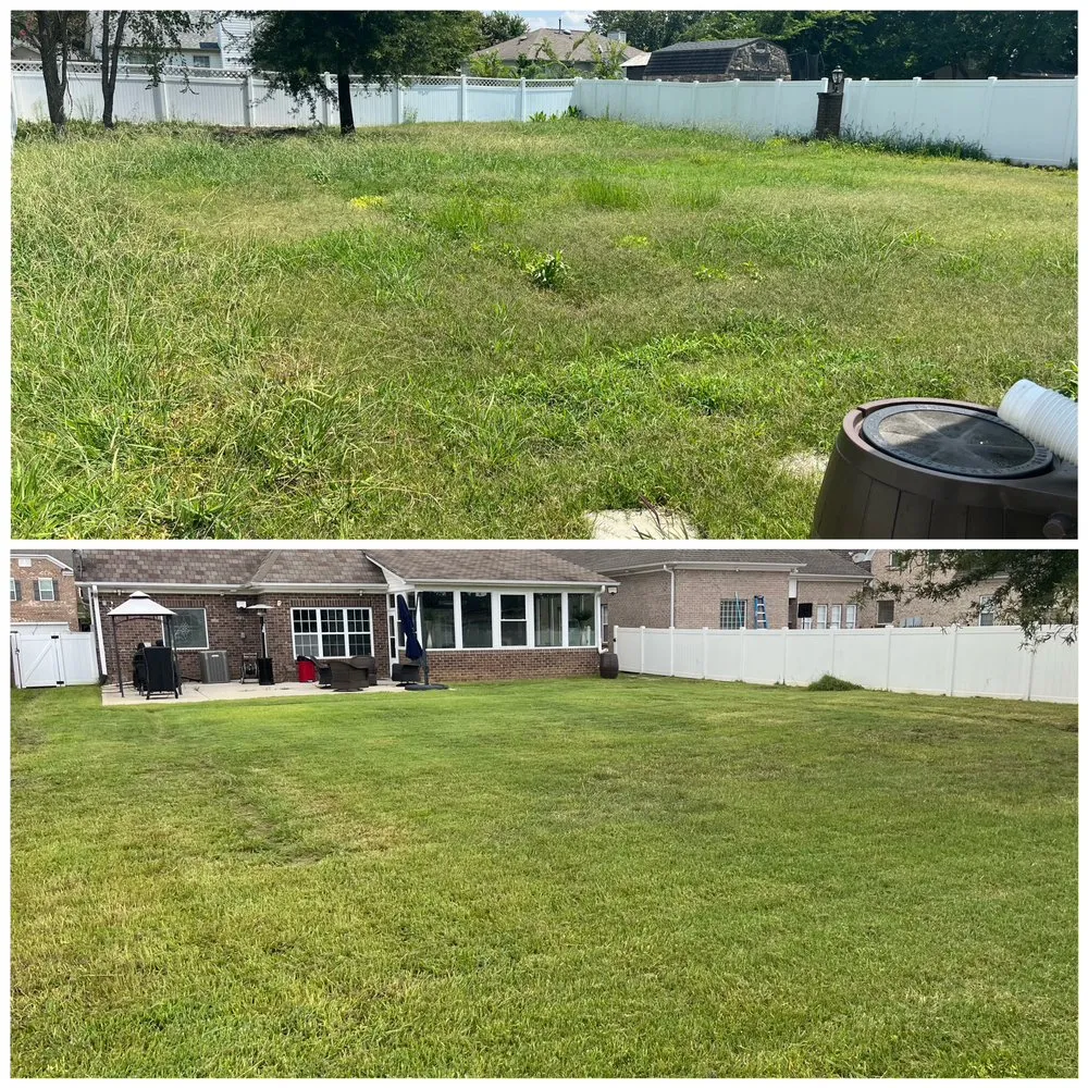 Trusted outdoor landscaping for residential properties in Concord, NC by Carolina Lawn Enhancement