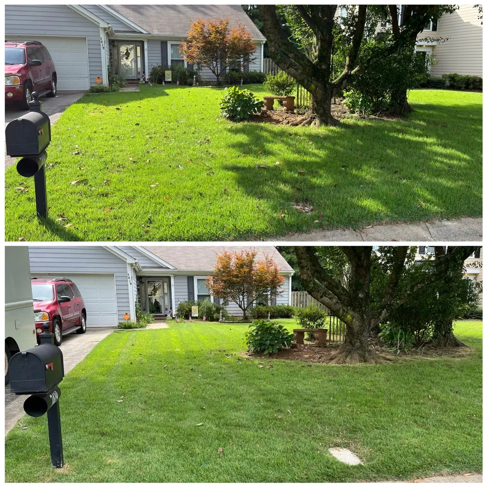 Top-rated yard cleanup service in Concord, NC by Carolina Lawn Enhancement