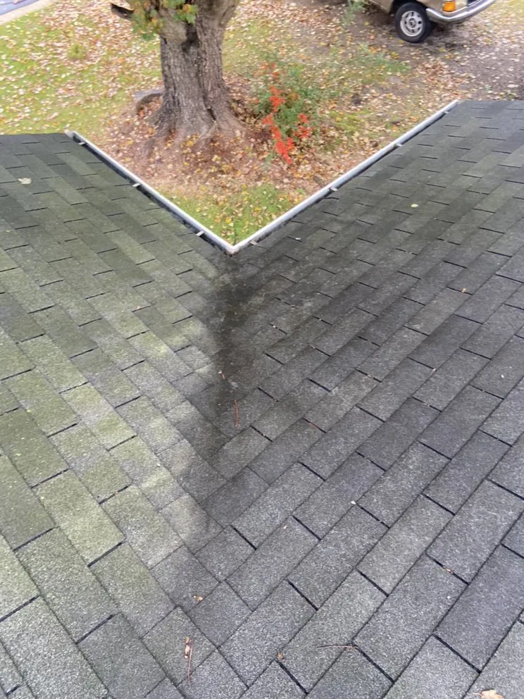 Reliable landscaping services in Smithfield, NC - Carolina Lawn Pros