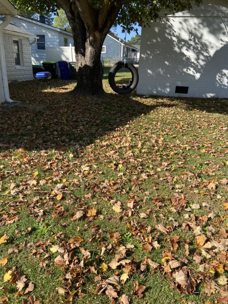 Trusted lawn care service experts serving Smithfield, NC - Carolina Lawn Pros