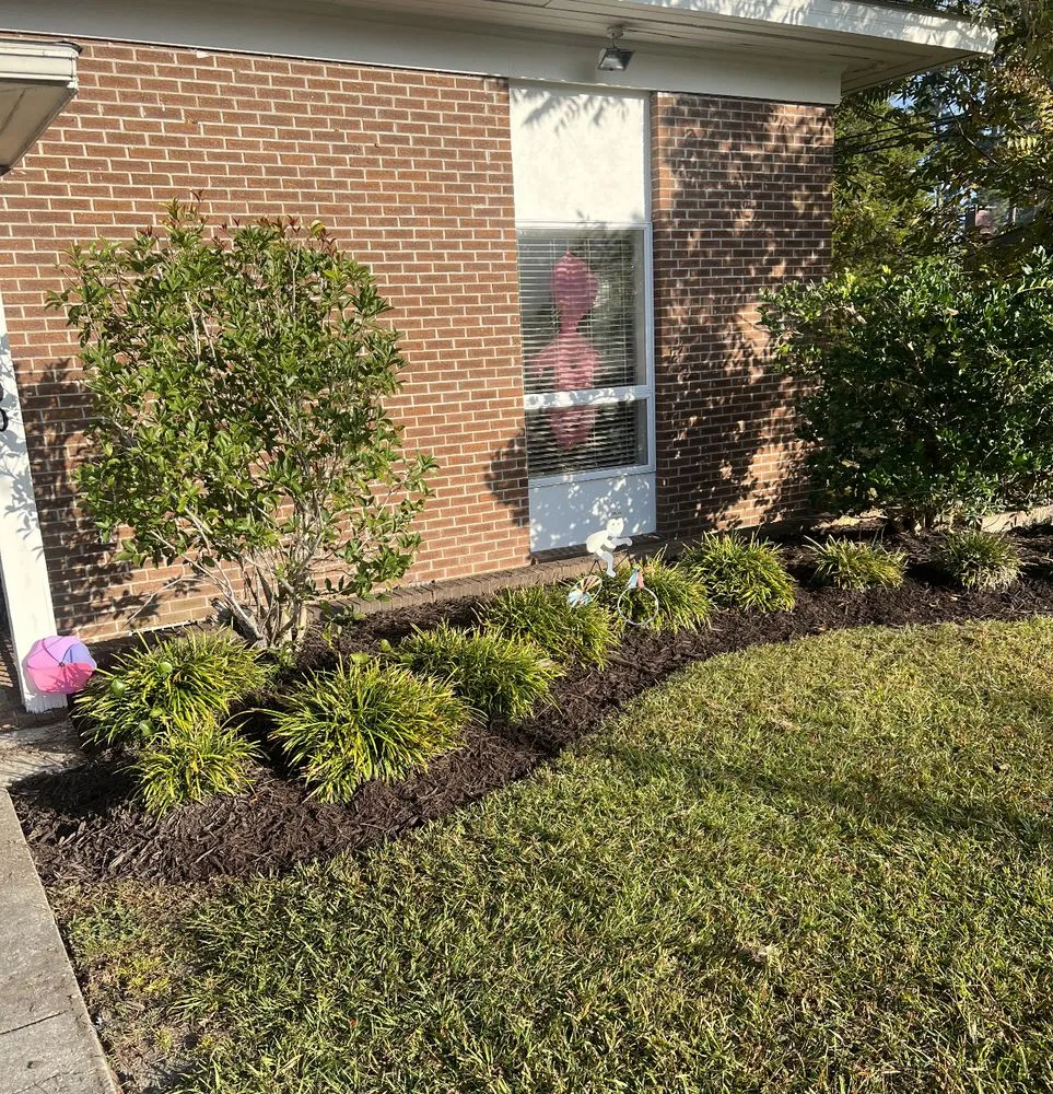 Reliable yard cleanup service in Johnsonville, SC - Carolina Lawn Rescue