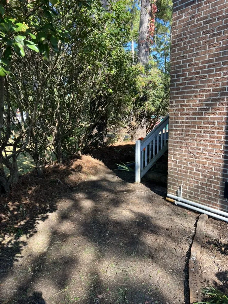 Top-rated garden landscaping in Johnsonville, SC - Carolina Lawn Rescue