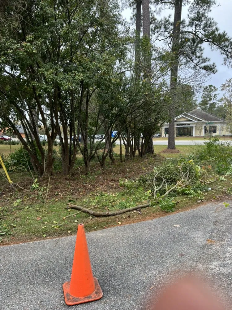 Trusted yard maintenance for year-round maintenance across Johnsonville, SC - Carolina Lawn Rescue