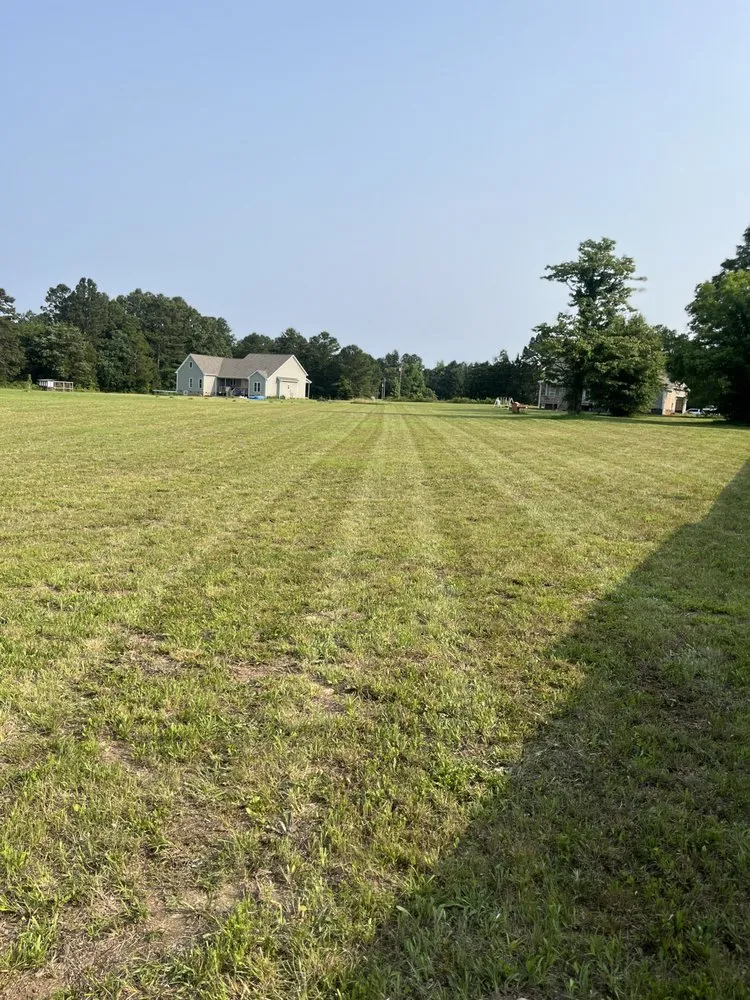 Reliable yard maintenance for year-round maintenance across Rock Hill, SC - Carolina Lawn Services