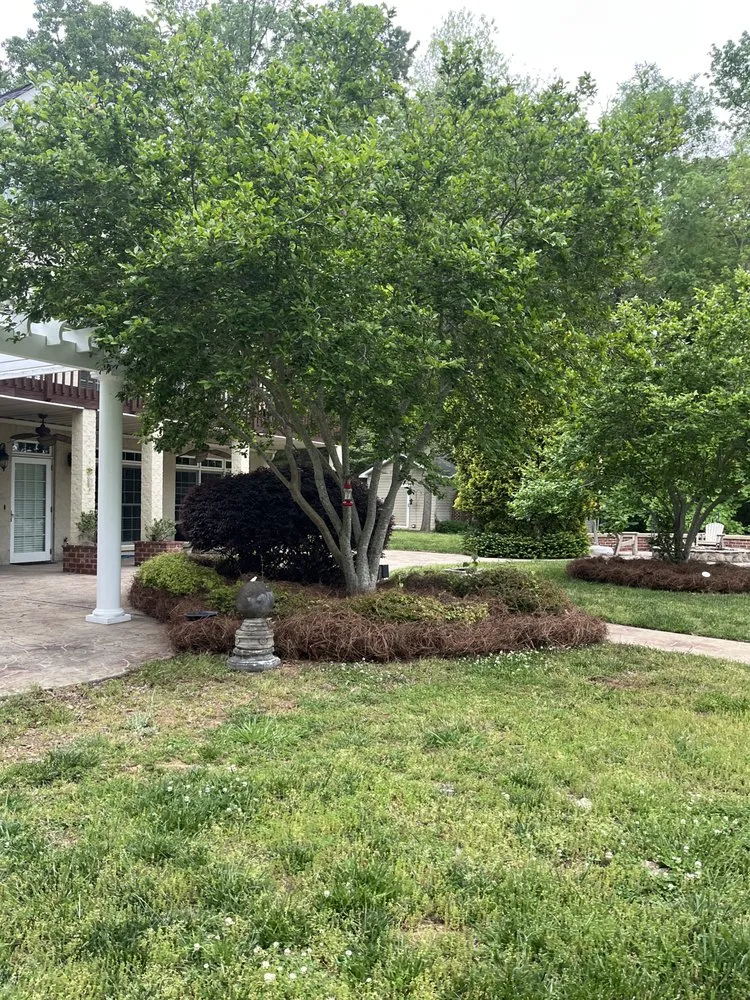 Custom yard maintenance in Rock Hill, SC - Carolina Lawn Services