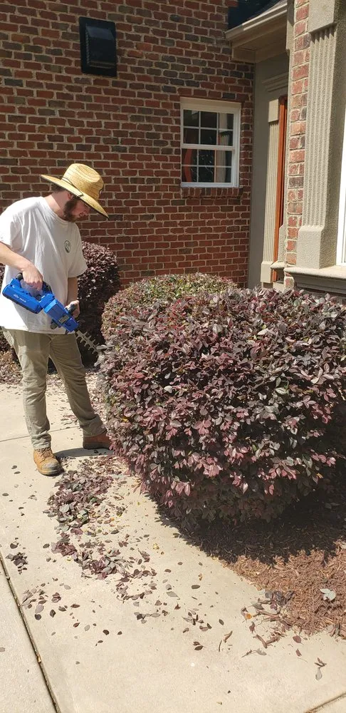 Reliable landscaping services for beautiful yards in Charlotte, NC by Carolina-Metro Landscape