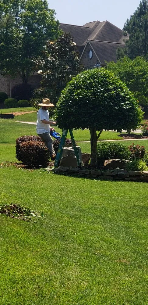 Affordable landscape design with custom design in Charlotte, NC by Carolina-Metro Landscape